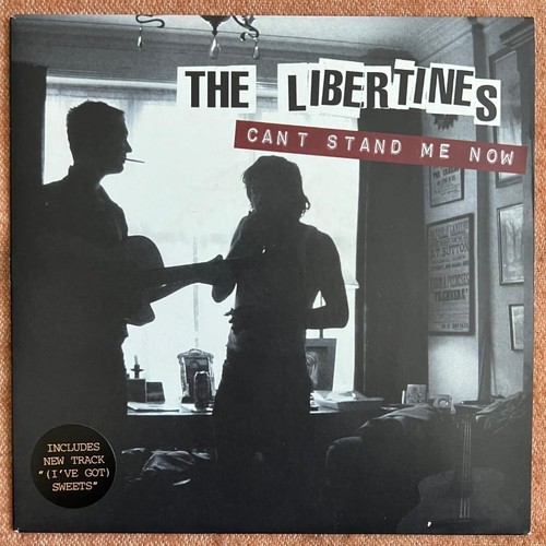 The libertines can - libertines, can't