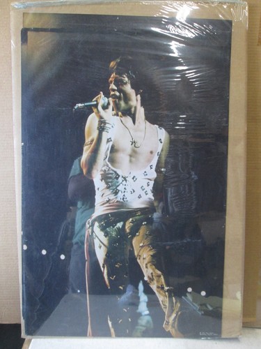 Mick jagger singer vintage - jagger,